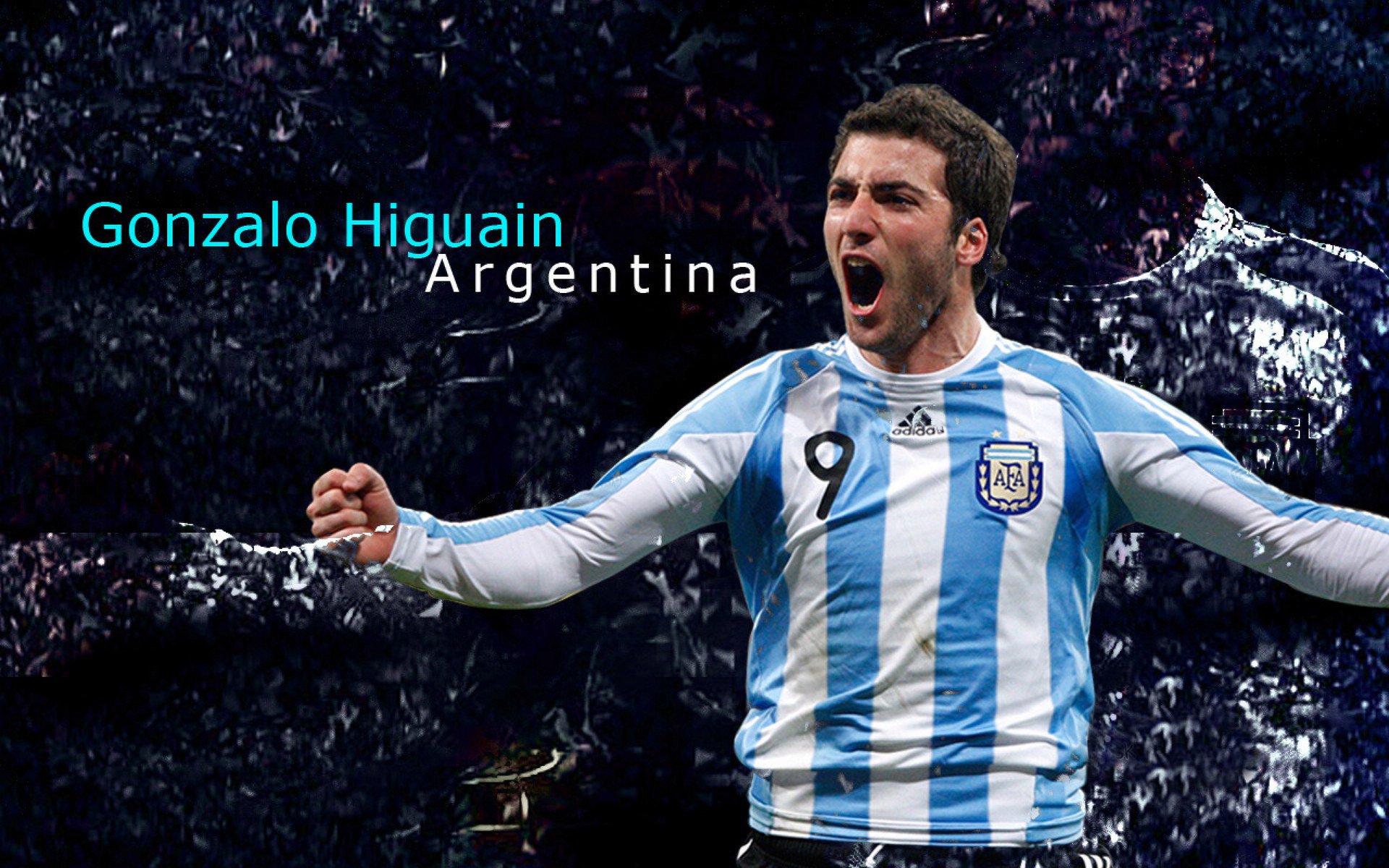 赛道与球场,速度与坚韧的双重奏